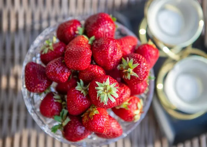 Villa „neptunas“ *